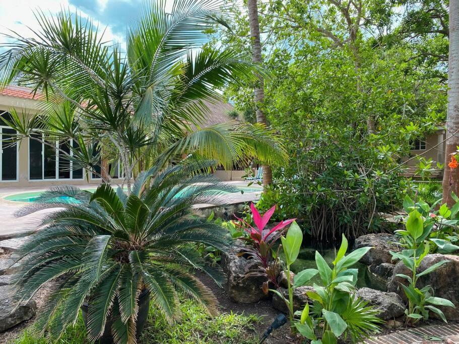 Casa Paamul Villa Playa del Carmen Esterno foto